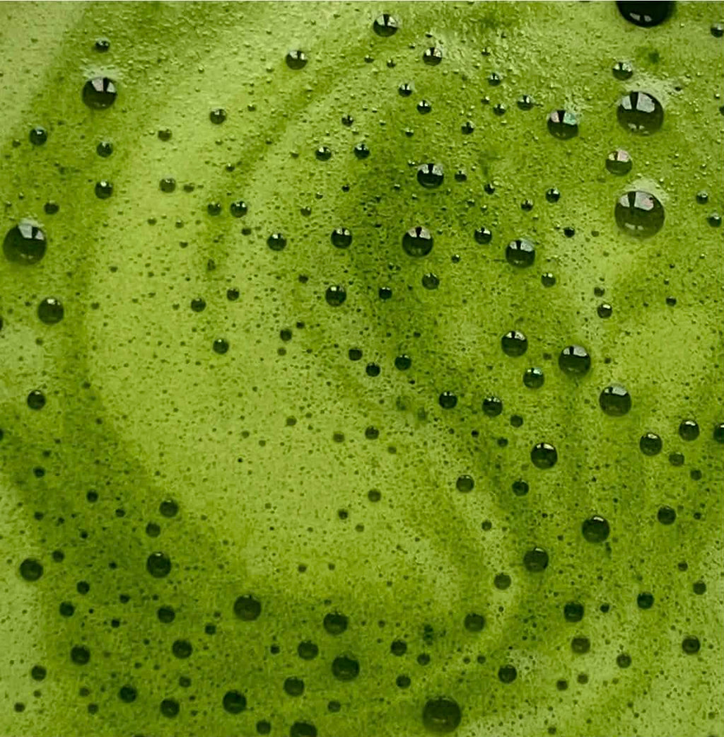 Uji Matcha Ceremonial