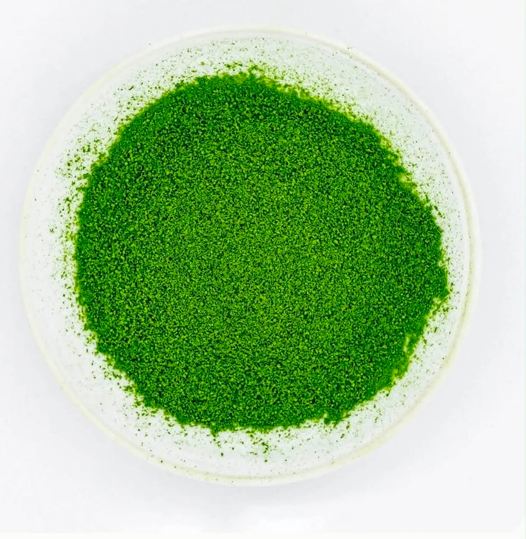 First Harvest - AOKI Saemidori Single Cultivar
